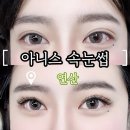 연산동주민센터 | 연산동 속눈썹 연장 맛집 추천, 아니스 속눈썹 신상 YC컬