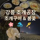이마트강릉아모레 | 🌊 강릉 여행기｜밤바다 불꽃놀이 & 조개구이 맛집, 그리고 목련 🌸