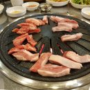 참숯싱싱생고기
