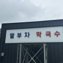 딸부자막국수 - 달서구 | 하루 딱 4시간만 허락된 현지인 로컬 맛집! 동해 '딸부자막국수' 회비빔막국수와 곤드레만두 솔직 후기 🥢