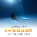 마린다이브 | [창원] 마린버블 다이브ㅣ창원프리다이빙 체험후기, 밀양프리다이빙 강습 추천