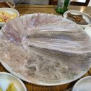 영의정회세꼬시