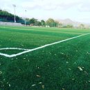 대광운동장 축구장 이미지