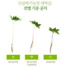 산골짜기농장 네이버블로그