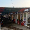 조개나루터 | 부산 태종대 조개구이 맛집 나루터 방문 후기 바다 뷰 조개구이