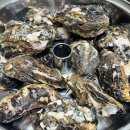 쌍둥이 수산 이미지