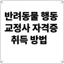 8-3 펫코노미(Pet-Economy) 창업과정 | 반려동물행동교정사 자격증 취득 방법