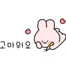 엘리뷰티 눈썹&속눈썹