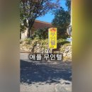 MOTEL 9-TWO(모텔 9-2) | 🍏 [경북/칠곡군] 애플모텔 숙박 체험단 후기 — 조용하고 평화로운 무인텔에서의 하루 🏨✨