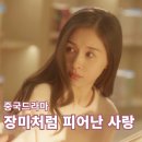 “중국 로맨스 드라마 ‘매괴총생’ 초반 후기 – 장미처럼 피어난 사랑 이야기”