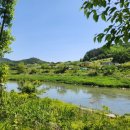 천천초교 이미지