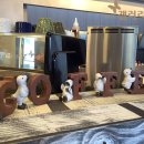 한빛덴탈 이미지