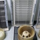 화이트 앤 크리닝 이미지