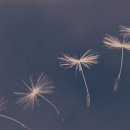 한강 행정사 사무소 이미지