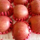 광용농장 이미지