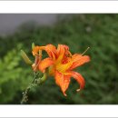 지천소공원 이미지