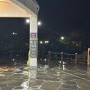 제주 천지연 난대림 | 제주 3대 폭포 : 서귀포 천지연폭포 야간, 야경 비오는날 후기