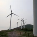 매봉산정상 이미지