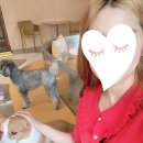 카페가까 이미지