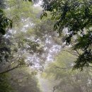 광령3급정비센타 | [남해] 보리암, 남해 가볼만한 곳 1순위 남해쏠비치 주변 여행 어디가지 ? (주차·셔틀·입장료 총정리)