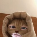가꿈뷰티 이미지