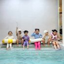 전북가스 | 전북 고창 키즈풀빌라 크크크 먹이체험부터 조식까지 완벽후기