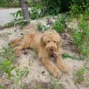 국사봉로 이미지