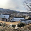 삼팔선의봄 이미지