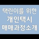 택린이 이미지