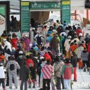 바글바글 이미지