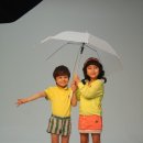 레몬트리 이미지