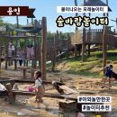 맨발공원 숲 모래놀이터 네이버블로그