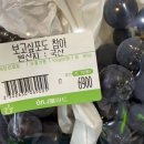 벙글다 네이버블로그