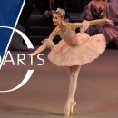 Tchaikovsky - The Nutcracker, Ballet in two acts | Mariinsky Theatre 이미지
