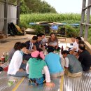 현화초등학교 이미지