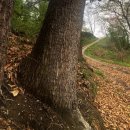 홍범식군수순절비 이미지