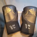 프로팀스타 복싱 이미지