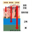 주파랑 | 발고주파 생체열 후기
