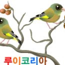 대구~~촌* 이야기... 이미지