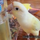 덕천동물의료센터 이미지