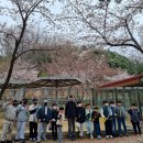 봄 유도관 이미지