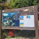 성도카서비스 이미지