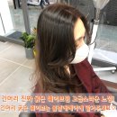 봄날애헤어 - 남구 남구 | 봄날애헤어