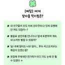 진진음악학원 | 2024 하반기 스따뚜