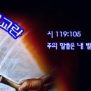 2009년 5월 4주 온유한자의 복 / 마 5:5 이미지