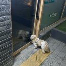 리커맨드커피