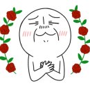 와와야채과일