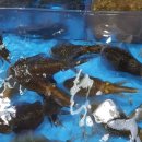 대포횟집 이미지