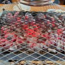 힘센 민물장어 이미지