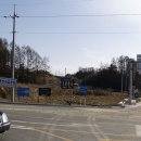 명천사슴농장 이미지